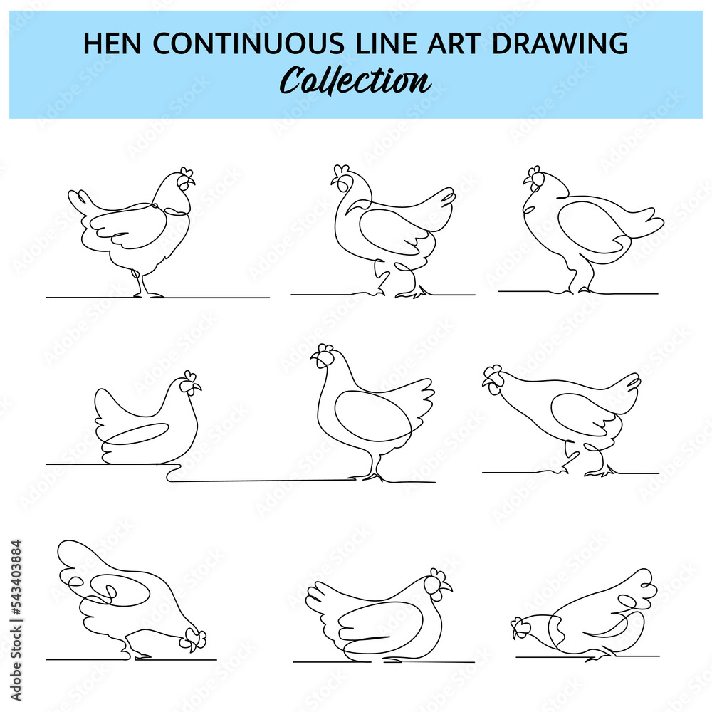 Chicken Eating Line Set of chicken line design. Decorative elements drawn one continuous ...