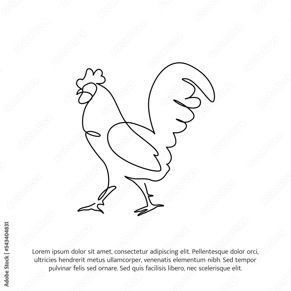 Rooster line design. Hen decorative elements drawn one continuous line. Vector illustration of minimalist style on white background. Rooster line design. Hen decorative elements drawn one continuous line. Vector illustration of minimalist style on white background.