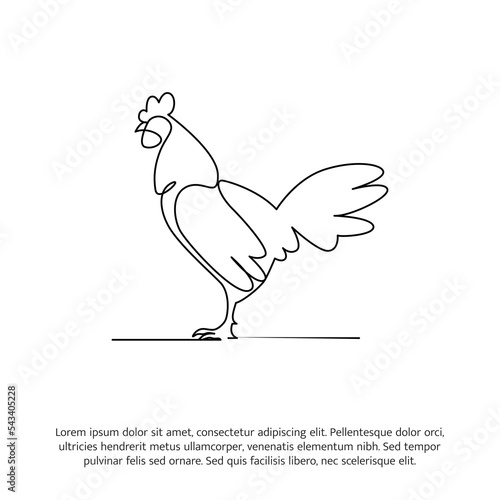 Rooster line design. Hen decorative elements drawn one continuous line. Vector illustration of minimalist style on white background.
