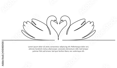Swan line design. Swan decorative elements drawn with one continuous line. Vector illustration of minimalist style on white background.