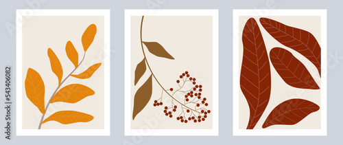 Vector illustration. Set of three posters. The picture shows viburnum leaves and berries in autumn colors. Red berries and burgundy, yellow and green leaves on tree branches.
