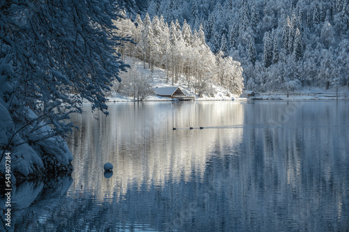 Snow magic on the Fusine lakes and in the forest of Tarvisio photo