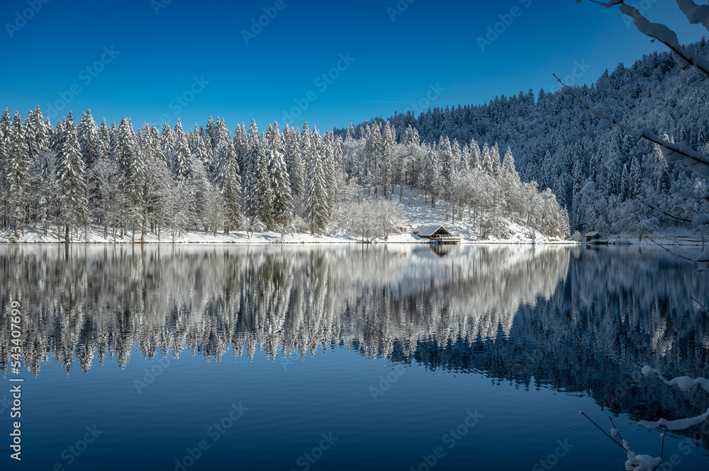 Snow magic on the Fusine lakes and in the forest of Tarvisio