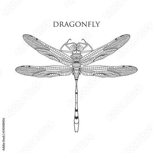 vector drawing black dragonfly on a white background
