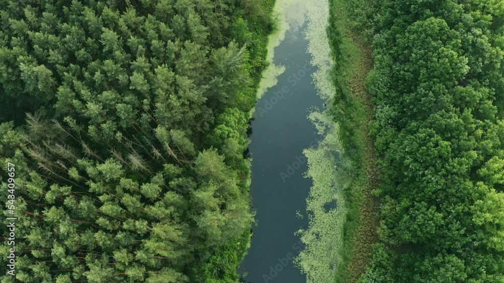 Aerial View Green Forest Woods And Small Marsh, Bog, Swamp pond Landscape In Summer Day. Top View Of Beautiful European Nature From High Attitude In Summer Season. Aerial View Green Forest Woods And Small Marsh, Bog, Swamp pond Landscape In Summer Day. Top View Of Beautiful European Nature From High Attitude In Summer Season.
