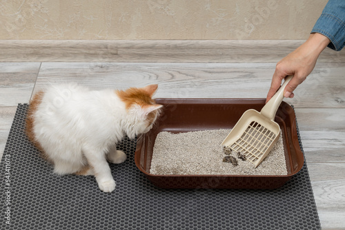 man cleans cat litter with a shovel. photo