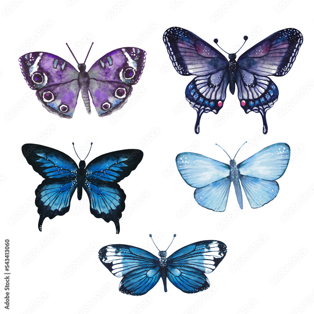 Watercolor Blue Butterfly Clipart PNG Stock Illustration | Adobe Stock