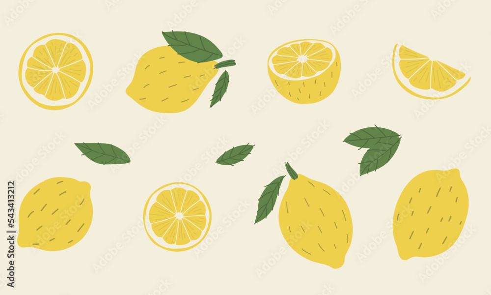 lemon and garden 3 vector illustration