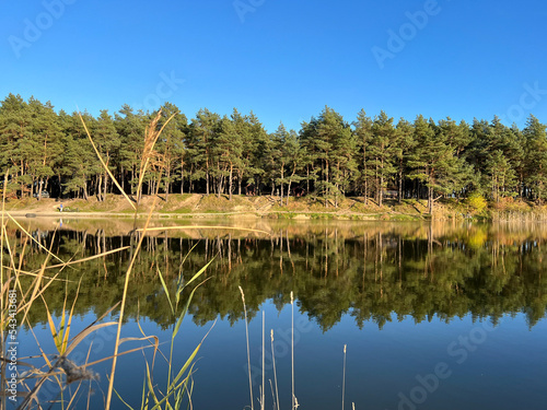 Autumn mood landscape with lake and forest in the perfect sunny weather