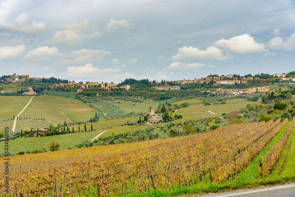 Panorama over the Chianti countryside in the foreground a vineyard Greve in Chianti Tuscany Italy