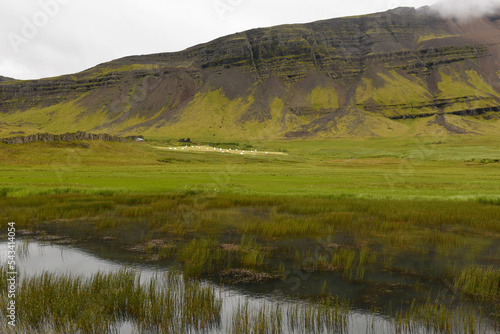 Rural landscape with a lake in Iceland © fotoember