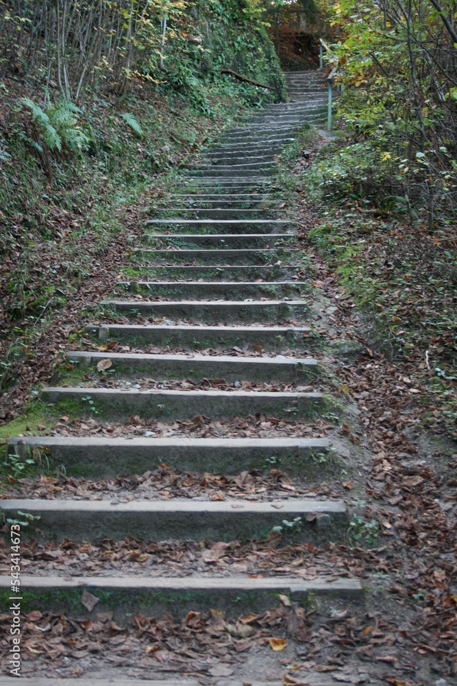 Treppe