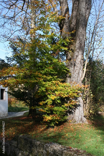 hellbrunn photo