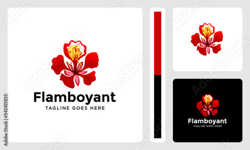 red flamboyant flower beauty logo photo