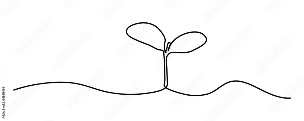 continuous line sapling growing in the garden continuous line sapling growing in the garden