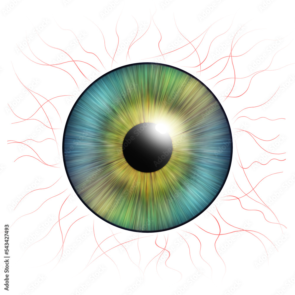 Iris eyes. Human iris with blood veins. Eye illustration. Creative graphic design Iris eyes. Human iris with blood veins. Eye illustration. Creative graphic design