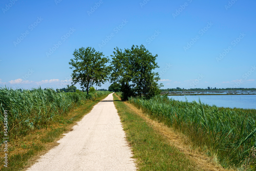 Landscape along the cycleway of Sile river in Venice province