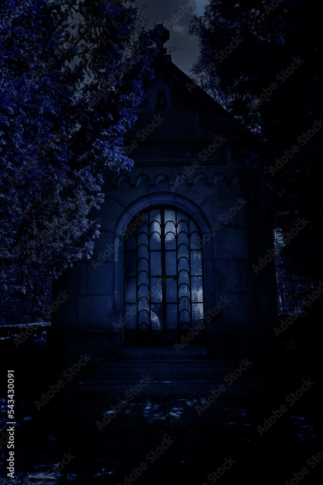 Family tomb in the cemetery with moonlight