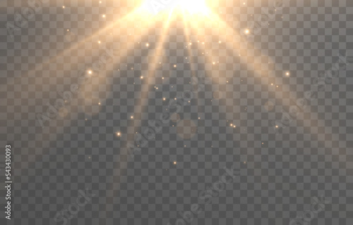 Vector magic light on isolated transparent background. Light png. Dust particles, magical glow png. Christmas light.
