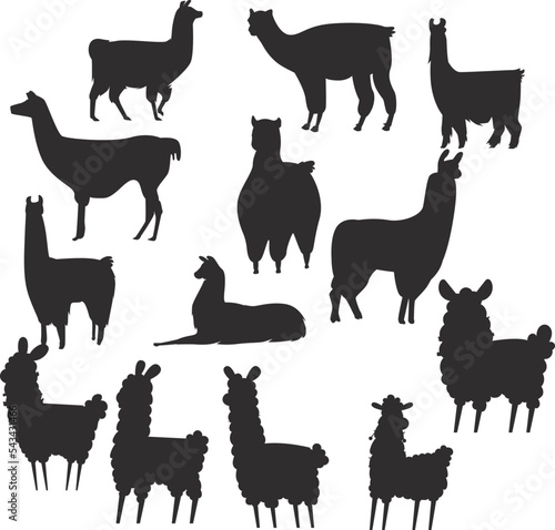 Digital illustration set of silhouettes of llamas and alpacas isolated on a white background