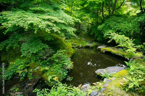京都 瑠璃光院の緑に囲まれた美しい庭園