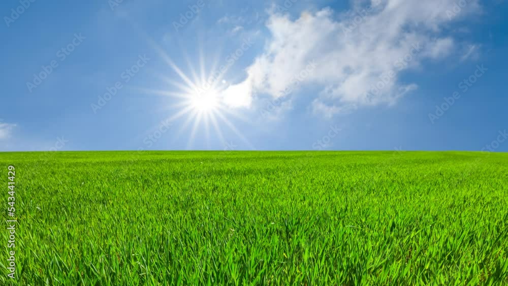 green wide rural fields under a sparkle sun, spring outdoor agricultural time lapse scene green wide rural fields under a sparkle sun, spring outdoor agricultural time lapse scene