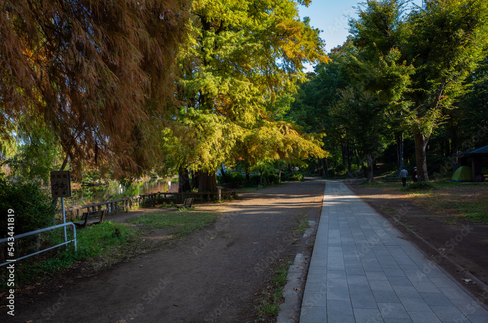 Obraz premium 東京都・練馬区の石神井公園