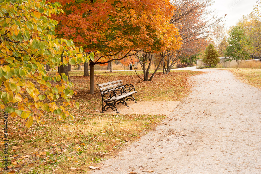 Wooden bench with wrought iron frame. A tree with bright orange and yellow leaves hangs over it. A path is in front. A tree with yellow and green leaves to the left. Woman walking dog in distance.