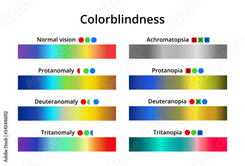 Vector illustration of color blindness or colorblindness. Normal vision, achromatopsia, protanomaly, protanopia, tritanomaly, tritanopia, deuteranomaly, deuteranopia. Color vision deficiency spectrum.