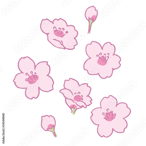 桜のパーツ