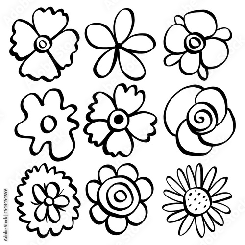 Black line doodle flowers on white background. Vector illustration about nature.