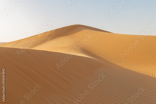 UAE. Desert  landscape