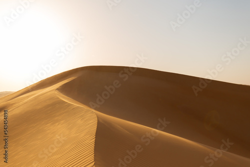 UAE. Desert  landscape