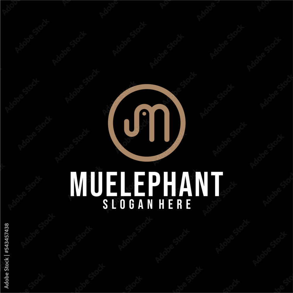 Fototapeta premium elephant 1