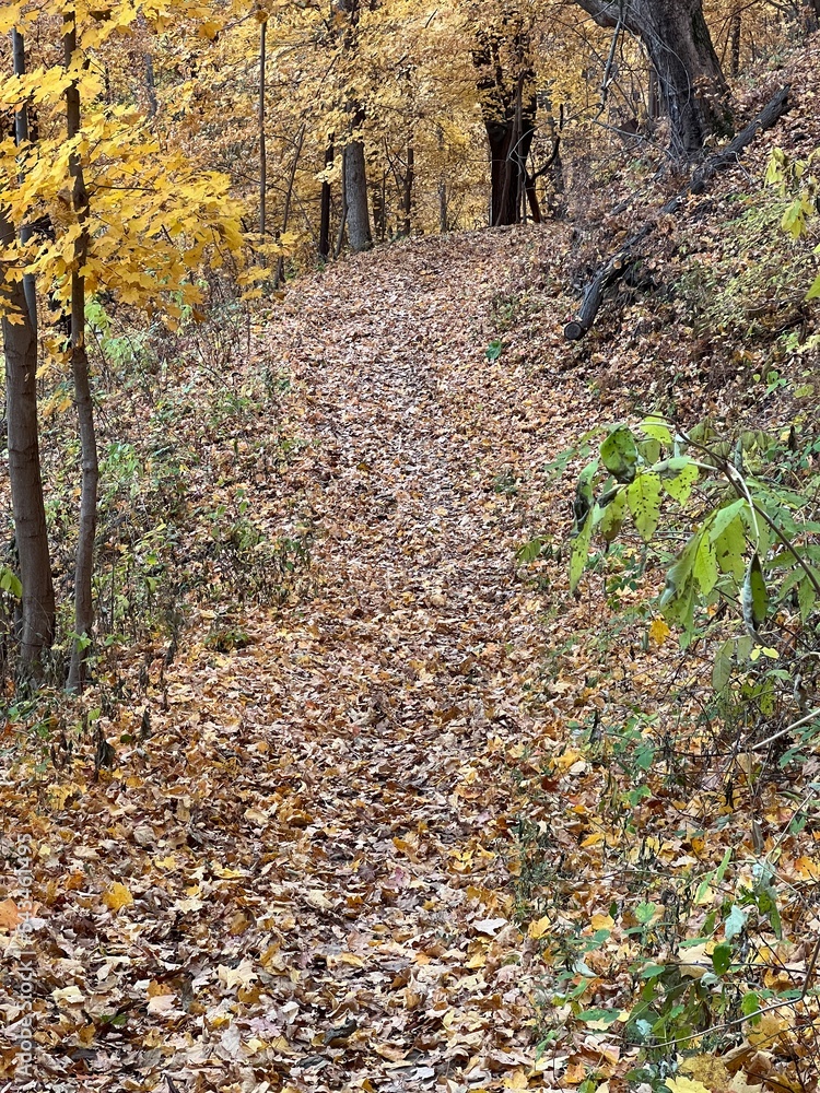 Fall hiking trails in the hills and mountains in autumn Fall hiking trails in the hills and mountains in autumn