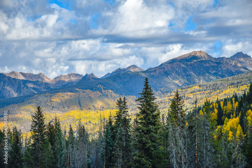 Autumn trees, Rocky Mountains, Colorado