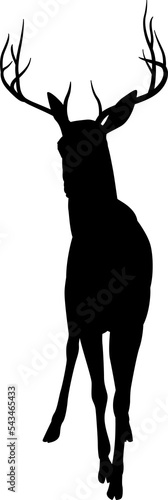 Deer Animal Silhouette