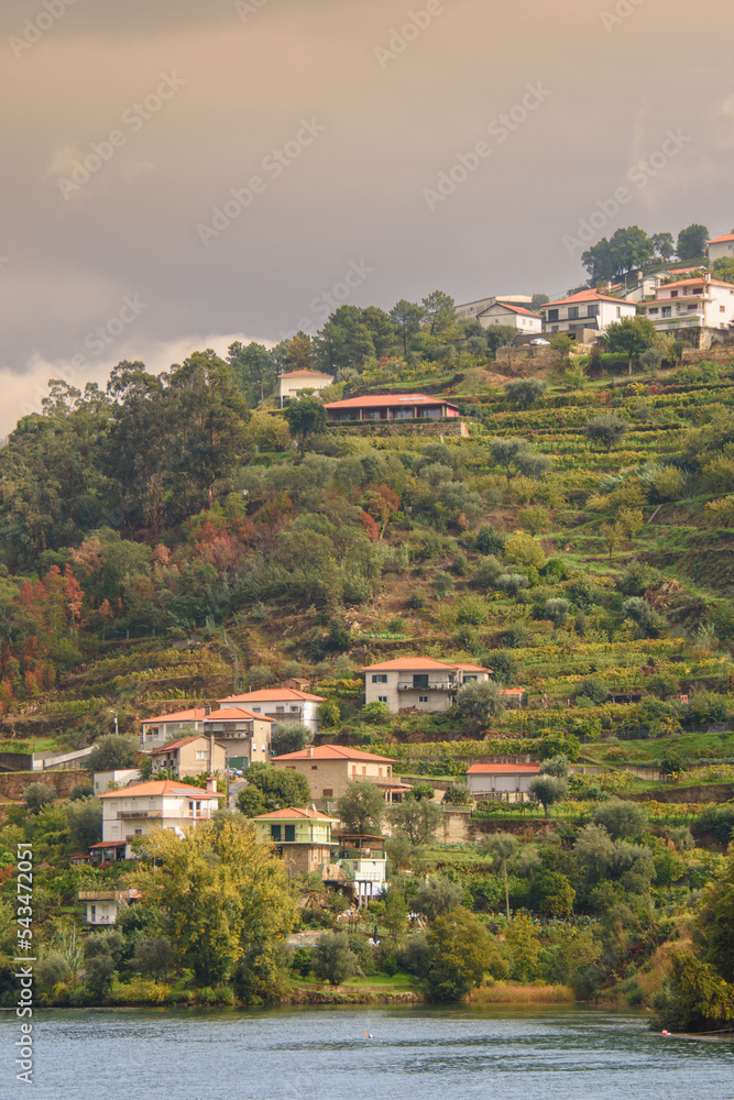 Obraz premium The beautiful landscape of the Douro Valley in Portugal and its unique architecture