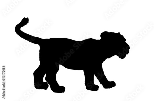 Baby Lion cub vector silhouette illustration isolated on white background. Animal king. Big cat. Pride of Africa. Leo zodiac symbol. Wildlife predator. Calf lion mascot.
