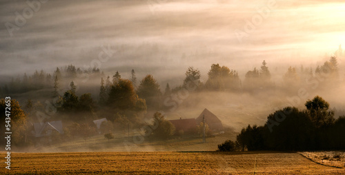 Jesienny mglisty krajobraz