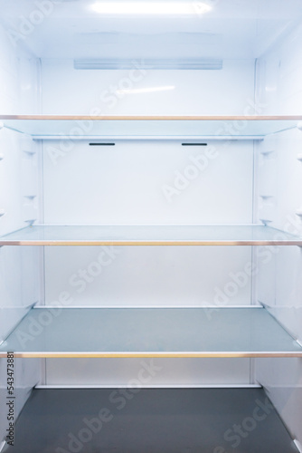 Completely empty fridge with compartments and ceiling light