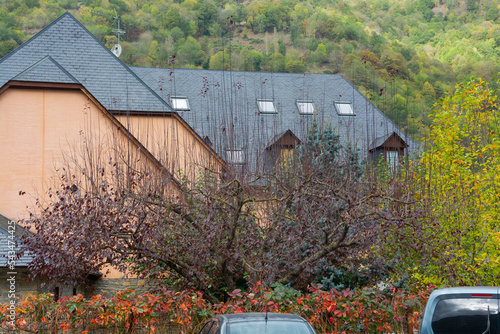 Obraz na płótnie Tree in the Les in the Catalonia Region in Spain w salonie
