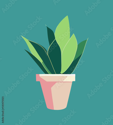 Potted plant on the blue background