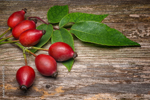 Rosehip berries  (Rosa canina) on wooden table. Background title photo