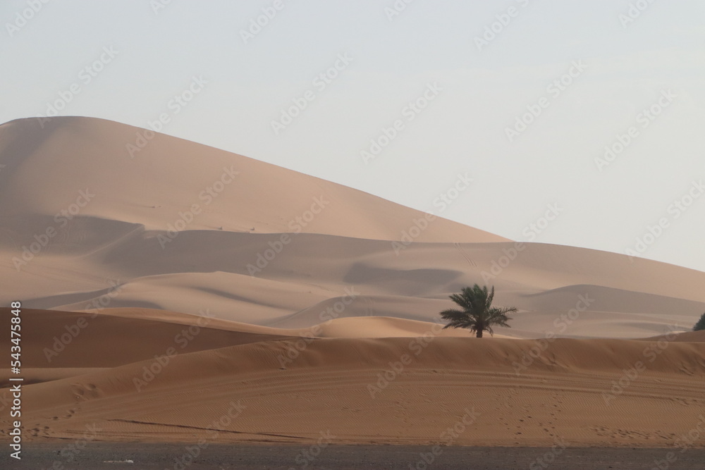 morocco desert sahara