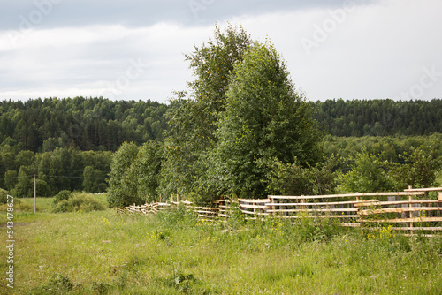 Fototapeta Naklejka Na Ścianę i Meble -  rural landscape with wooden fence on meadow