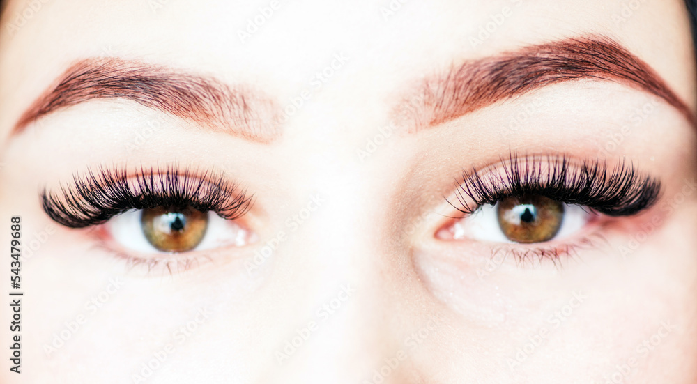 Woman eyes with long eyelashes and smokey eyes make-up. Eyelash extensions, makeup, cosmetics, beauty Woman eyes with long eyelashes and smokey eyes make-up. Eyelash extensions, makeup, cosmetics, beauty