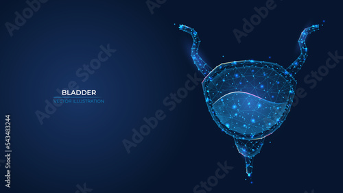 Futuristic abstract bladder symbol. Wireframe concept treatment of human excretory system. Low poly geometric 3d wallpaper background vector illustration.