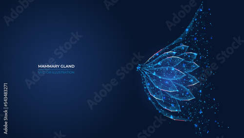 Futuristic abstract symbol of the female breast and mammary gland. Wireframe concept of women's health, mammology. Low poly geometric 3d wallpaper background vector illustration. photo