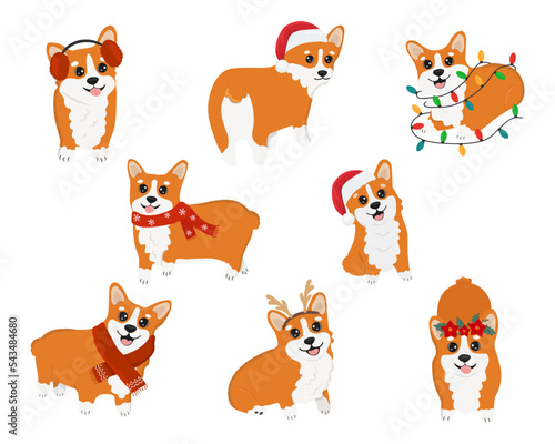 Vector clipart with cute Christmas corgi. Collection of winter dog characters. Illustration for design, decor, print, stickers, posters. Vector illustration isolated on a white background. © Alina